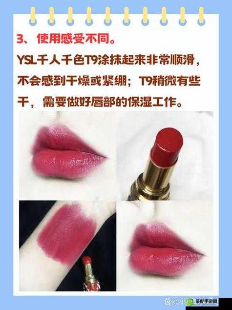 YSL 千色 T9T9T9 精选中文字幕：呈现极致色彩魅力之旅