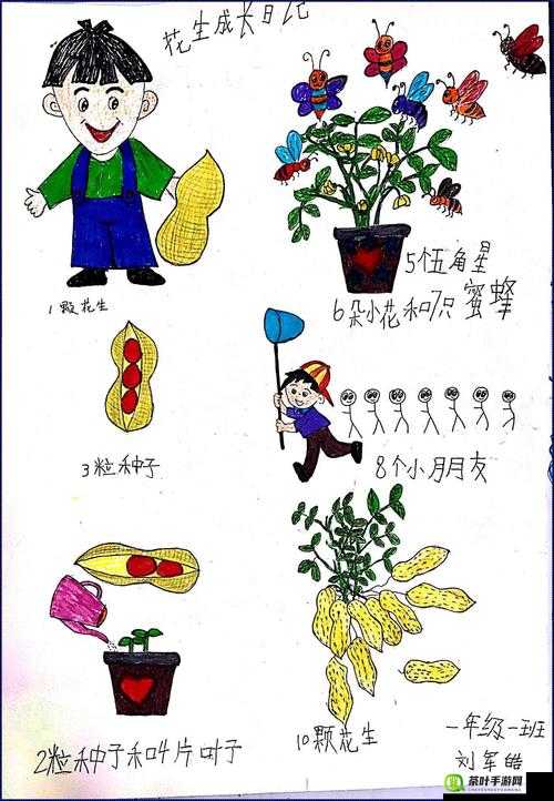 如何让小豆豆真正快乐地成长与发展