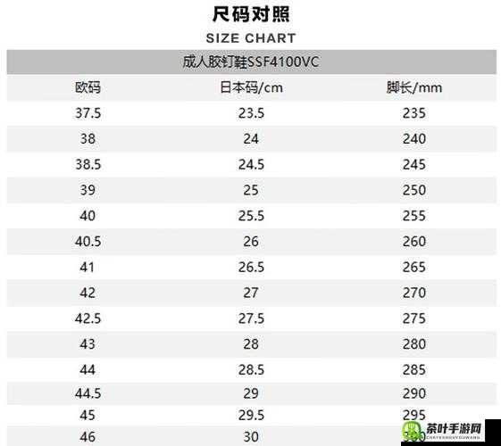 激励欧洲尺码日本尺码专线助力跨境贸易蓬勃发展