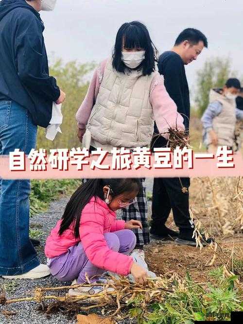 福利 SU 黑料正能量入口：探索大豆的奥秘