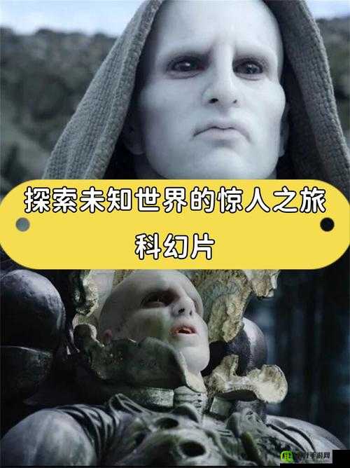 www啊啊啊：带你探索未知世界的神奇入口